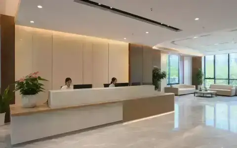 الاستقبال